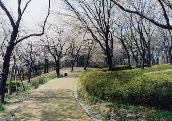 写真：歩経路（黄緑）